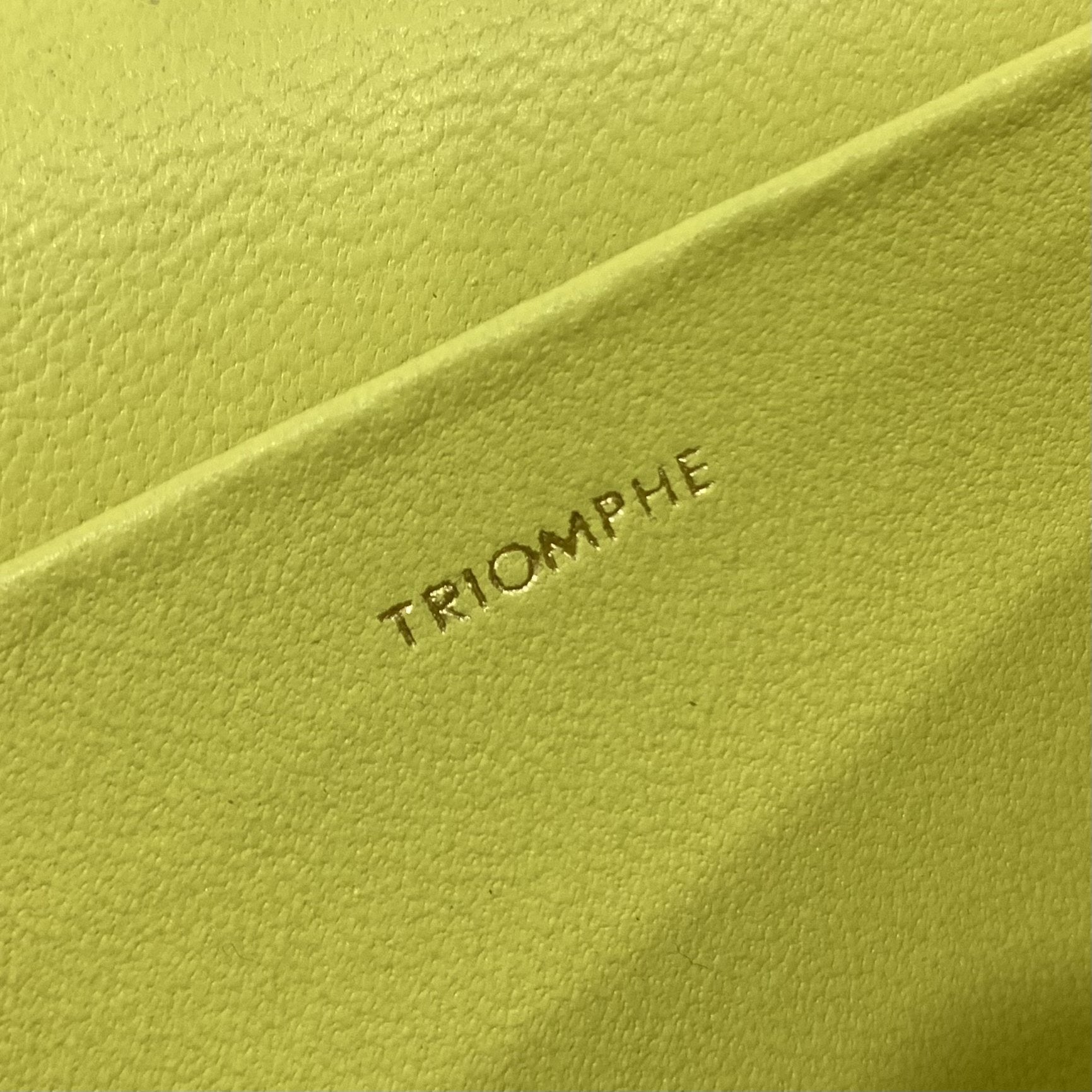 GLAMI Chain Shoulder Bag Cuir Triomphe Green For Women 7.9in/20cm