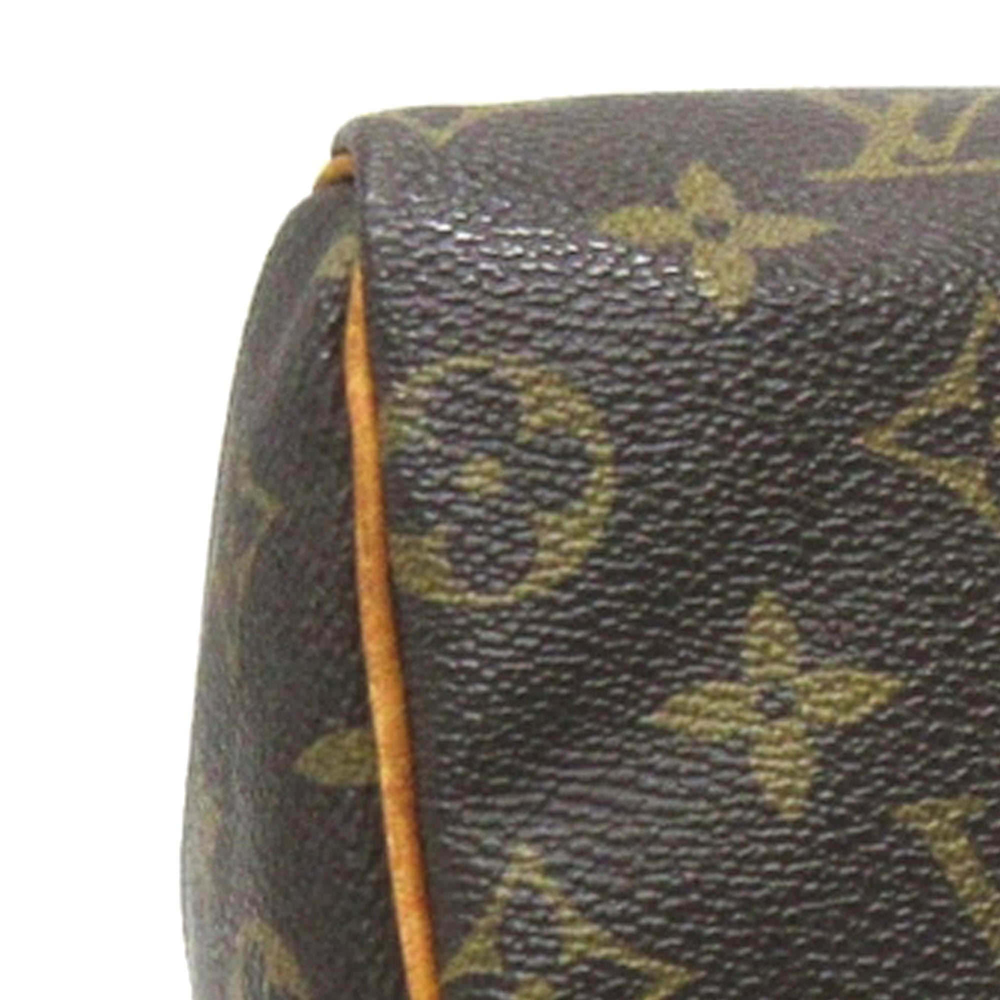 Brown Louis Vuitton Monogram Speedy 25 Boston Bag