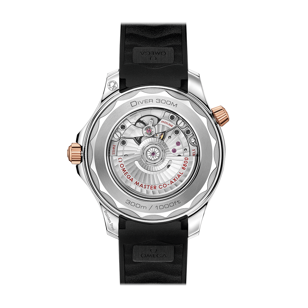 OMEGA Seamaster Diver 300M 210.22.42.20.01
