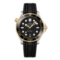 OMEGA Seamaster Diver 300M 210.22.42.20.01.001