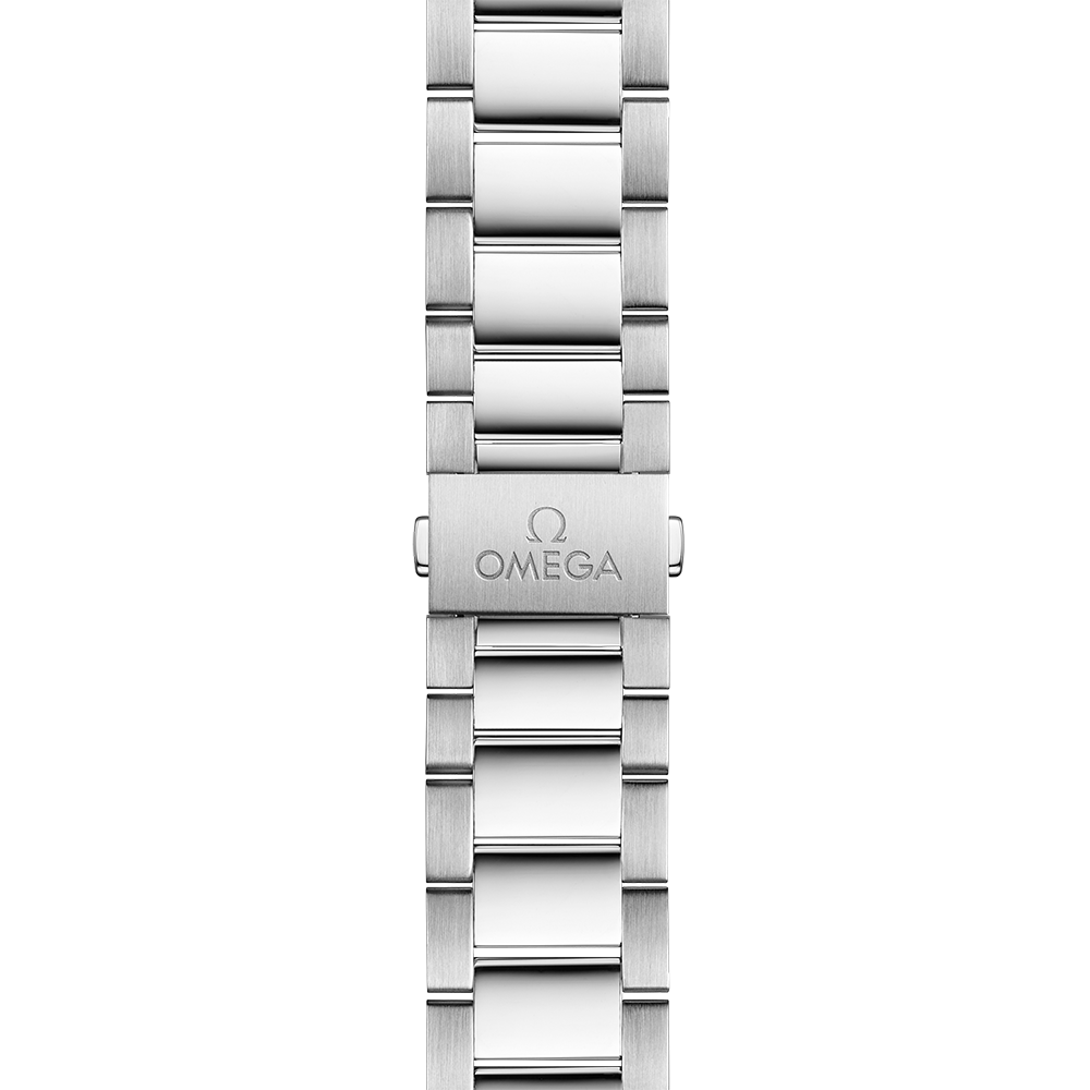Omega Seamaster Aqua Terra Co-Axial Master Chronometer 220.10.41.21.03.002
