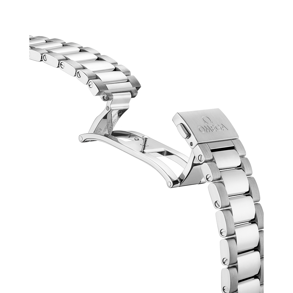 Omega Seamaster Aqua Terra Co-Axial Master Chronometer 220.10.41.21.03.002