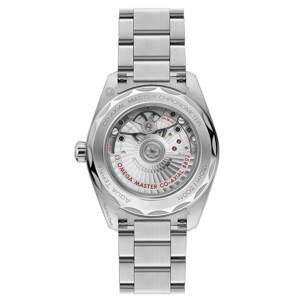 OMEGA Seamaster Aqua Terra 220.10.38.20.59.001
