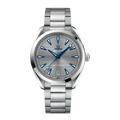 OMEGA Seamaster Aqua Terra 220.10.41.21.06.001