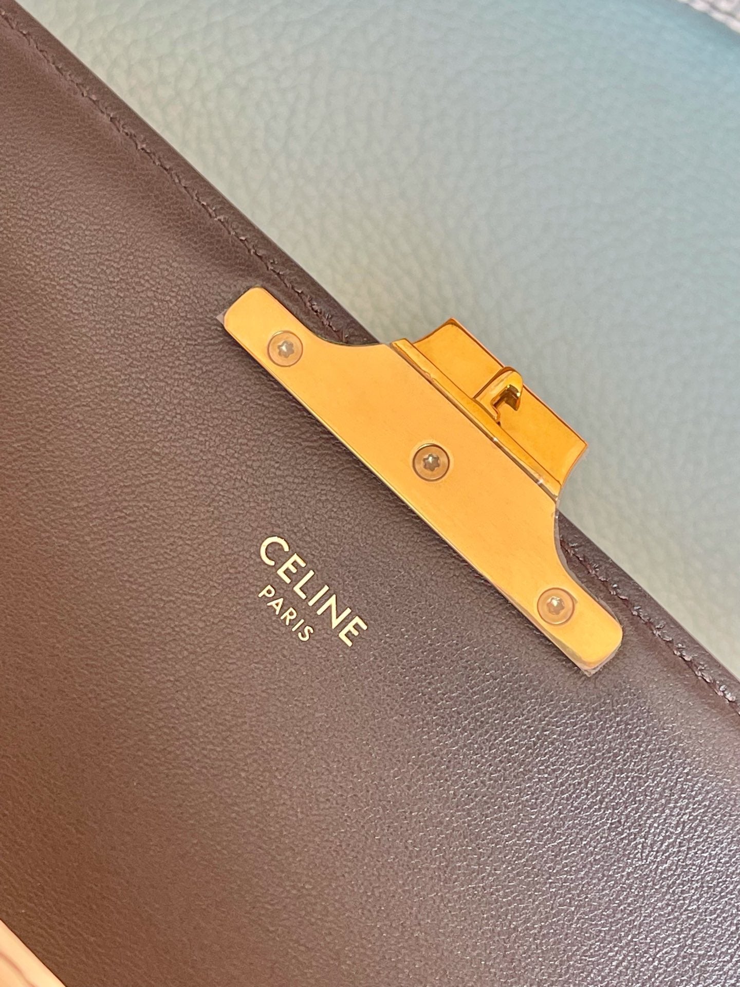 GLAMI Triomphe Shoulder Bag In Lizard Natural For Women 8in/20cm 194144BF5.02VG