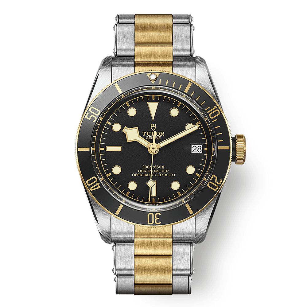 TUDOR Black Bay 41 M79733N-0008