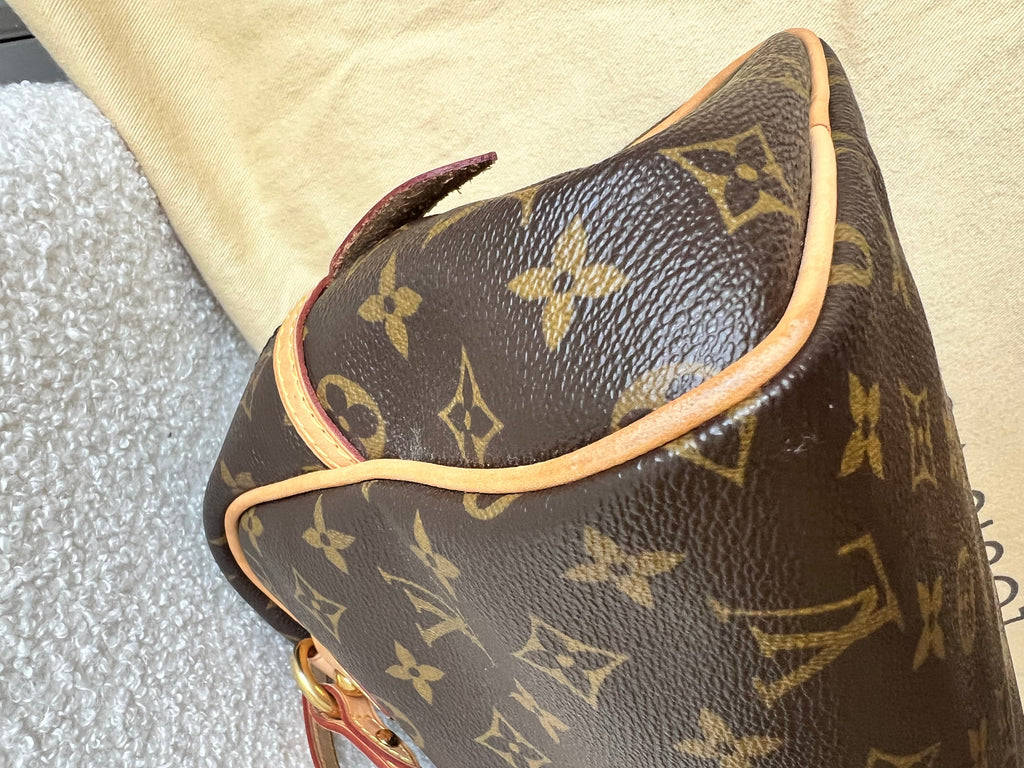 Louis Vuitton Montorgueil PM Monogram
