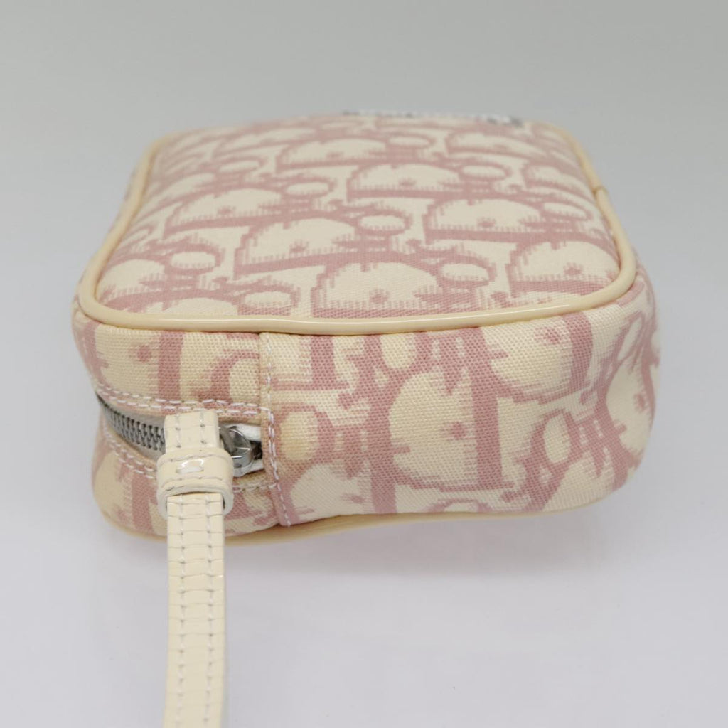 Dior Trotter  Canvas Clutch Bag ()