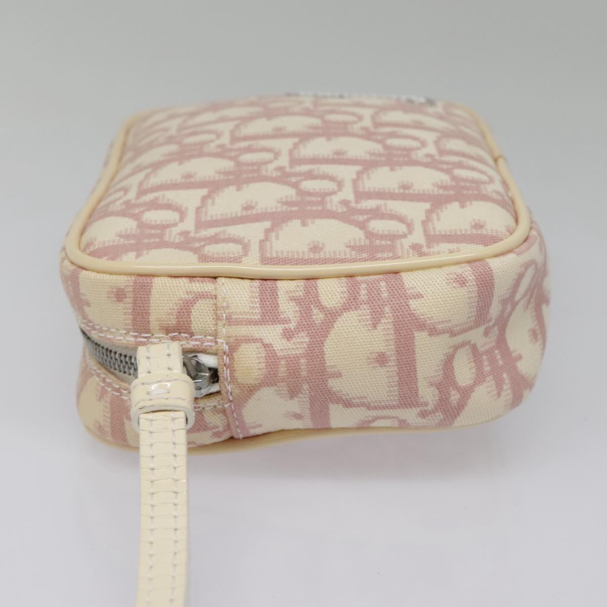 Dior Trotter  Canvas Clutch Bag ()