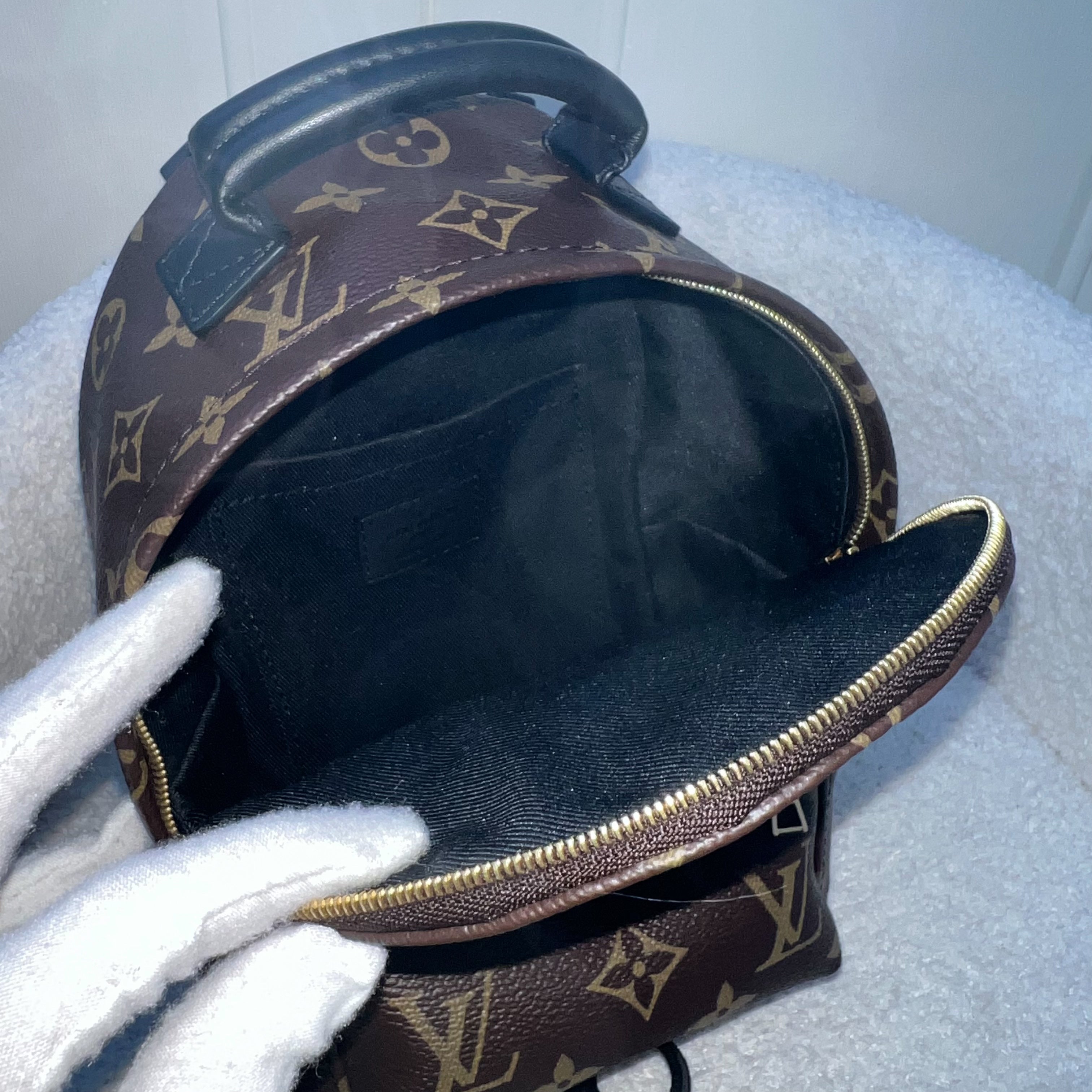 LV Palm Springs Mini Backpack in Monogram Canvas and GHW