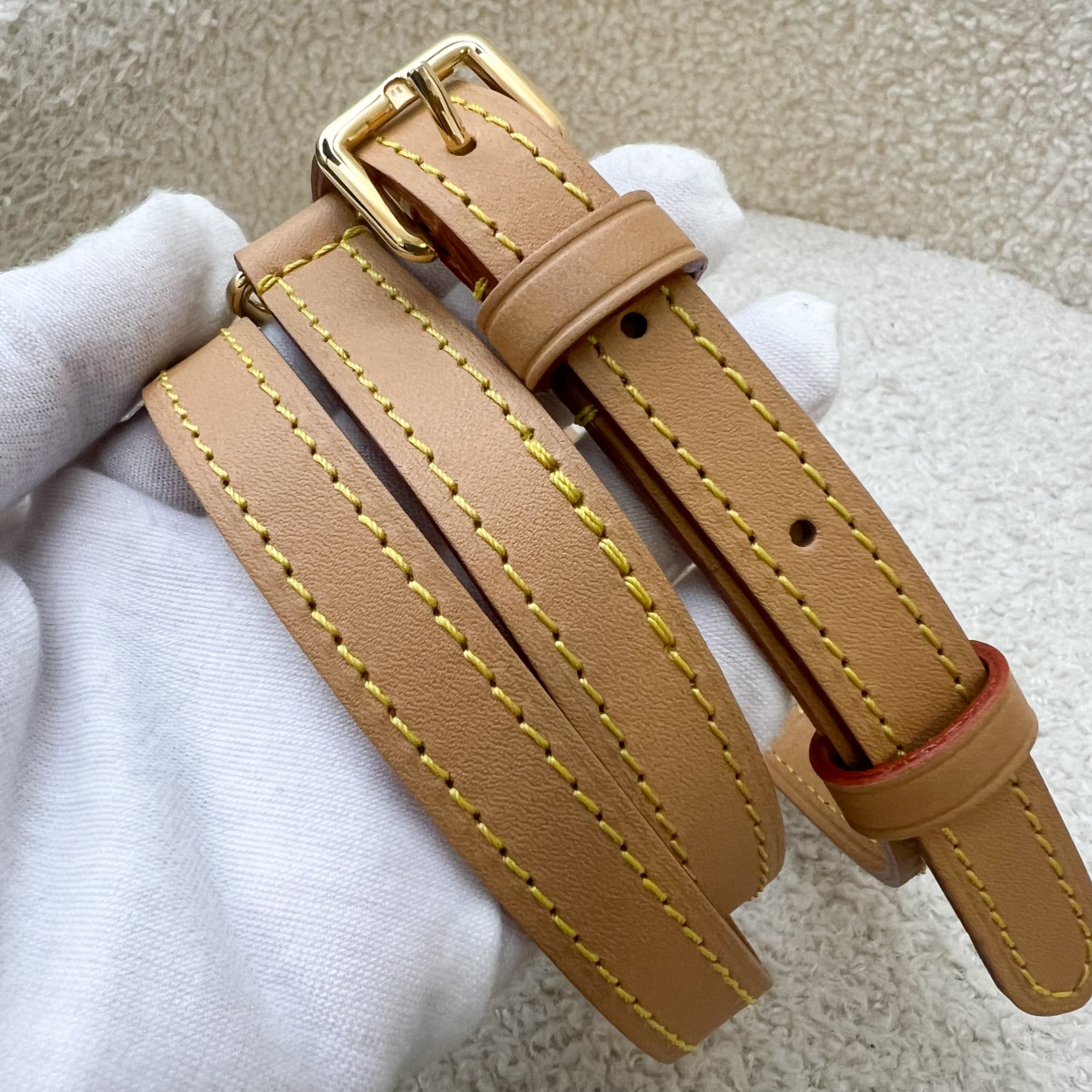 LV Nano Speedy in Monogram Canvas and GHW