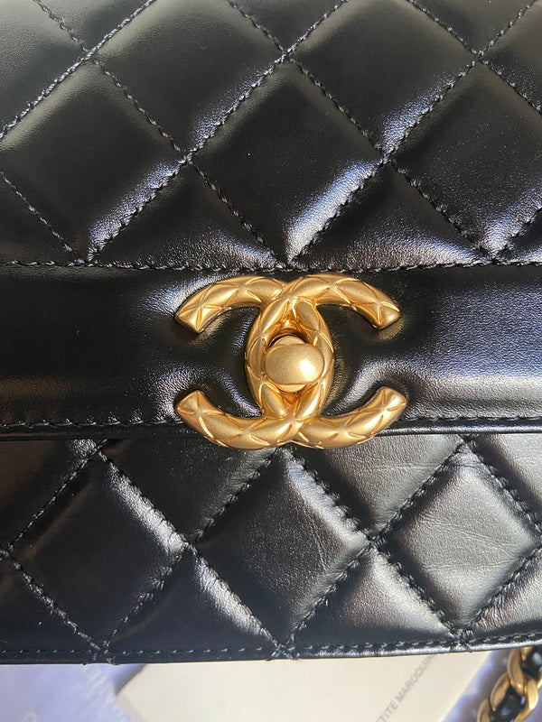 Satchel Bags - CLN Bags - 692