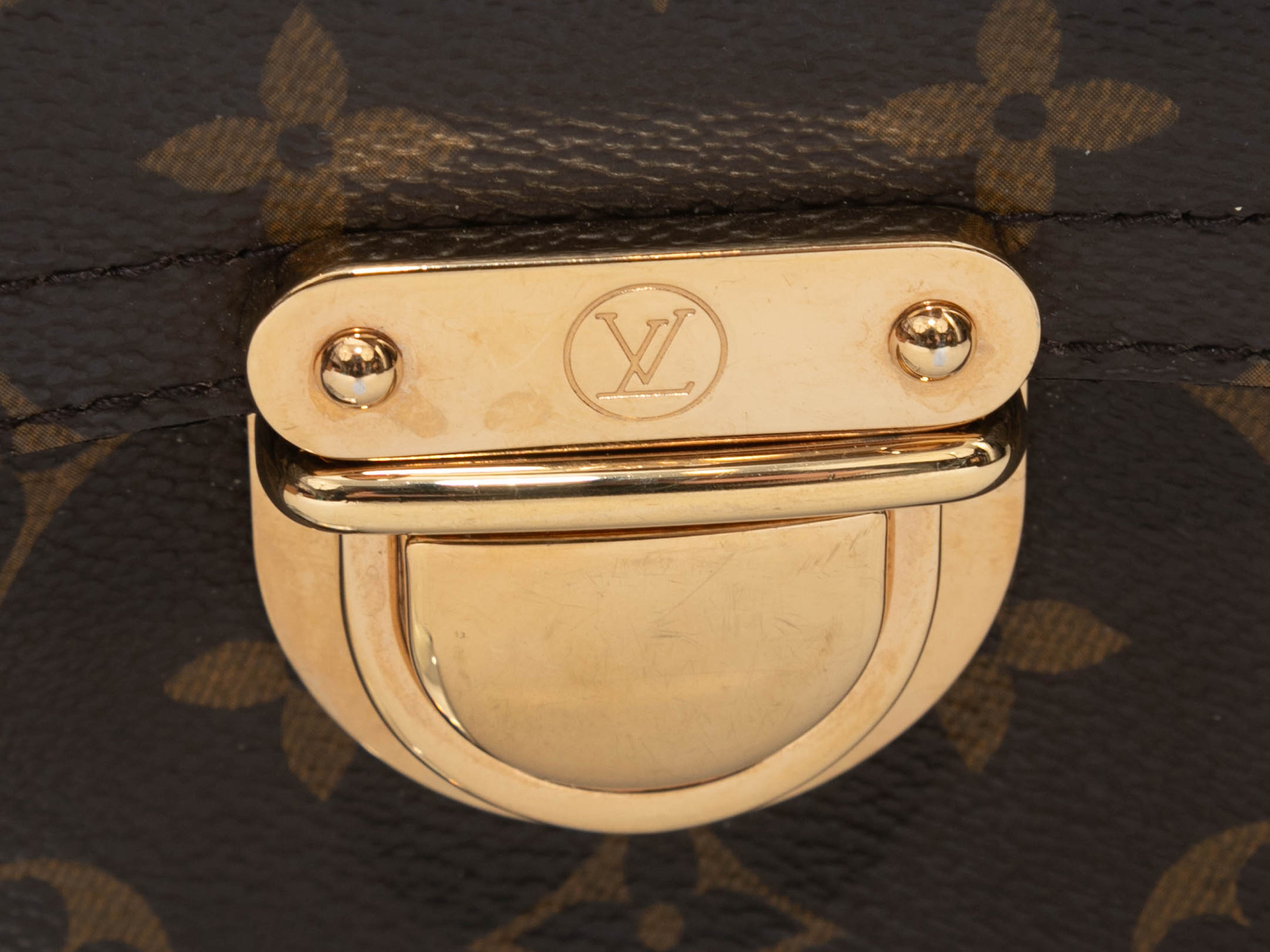 Brown Louis Vuitton Monogram Hudson PM Bag
