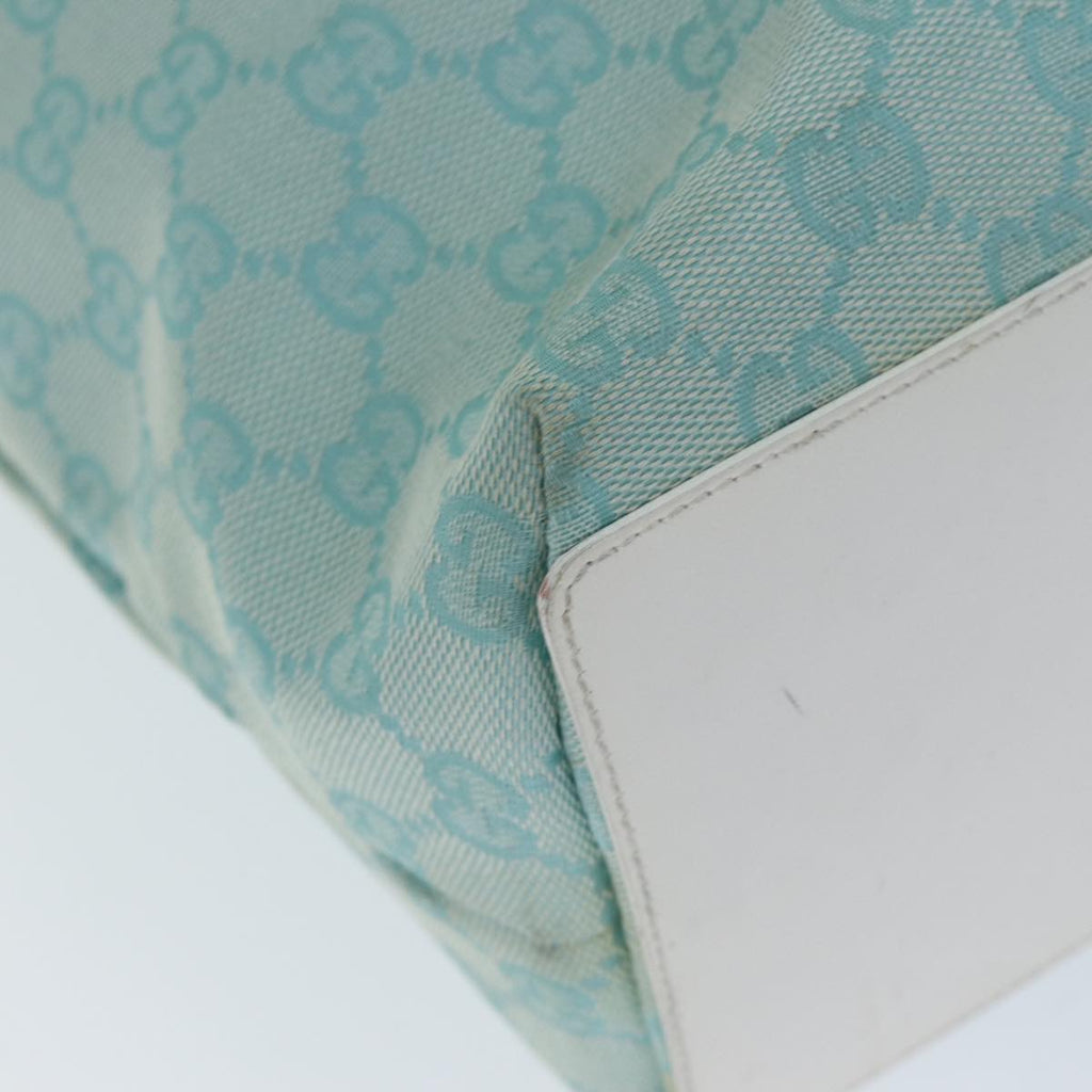 Gucci GG canvas