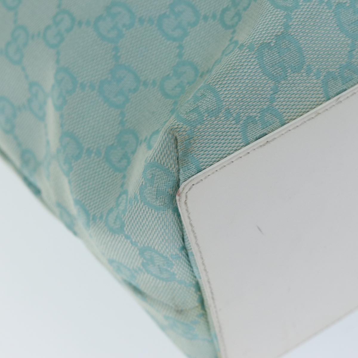 Gucci GG canvas