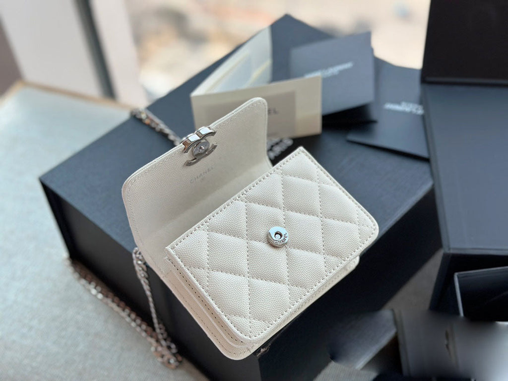 EN - Luxury Bags CHL 491