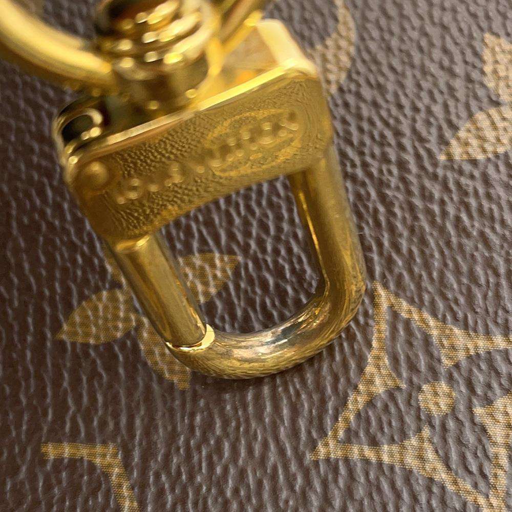 LOUIS VUITTON Diane NM BrownM46317 Monogram Shearling Size PM