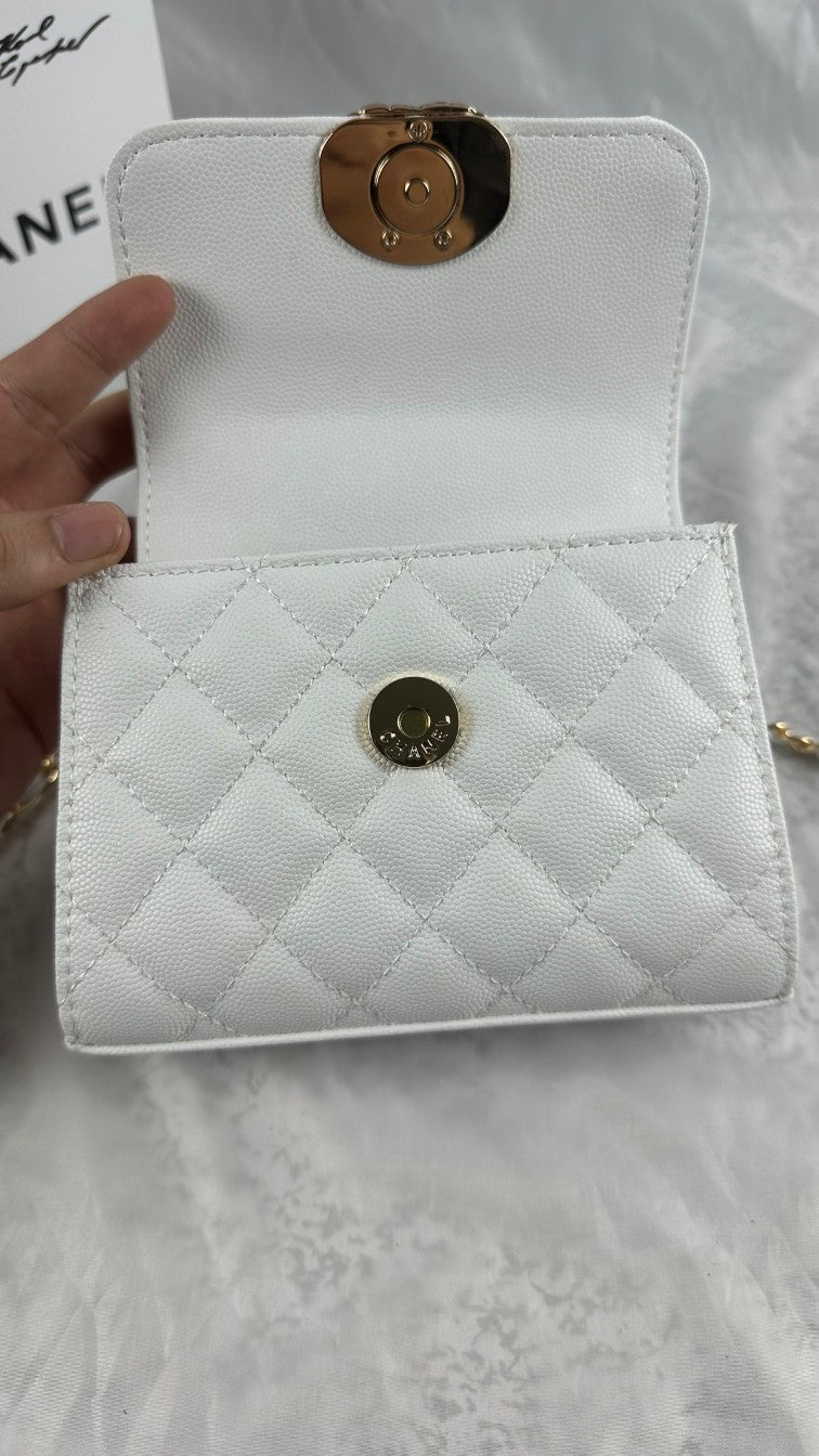 EN - Luxury Bags CHL 465