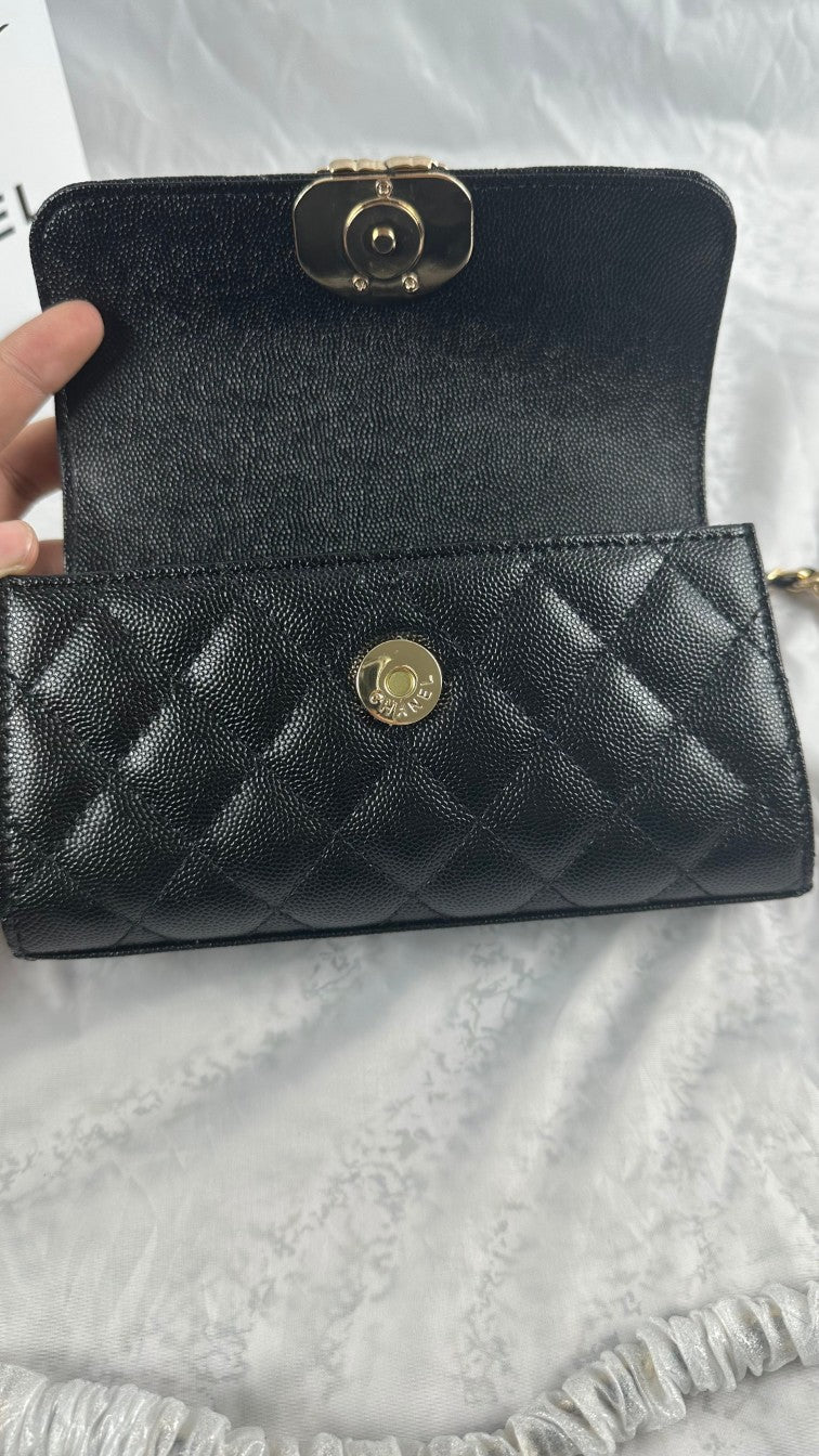 EN - Luxury Bags CHL 466