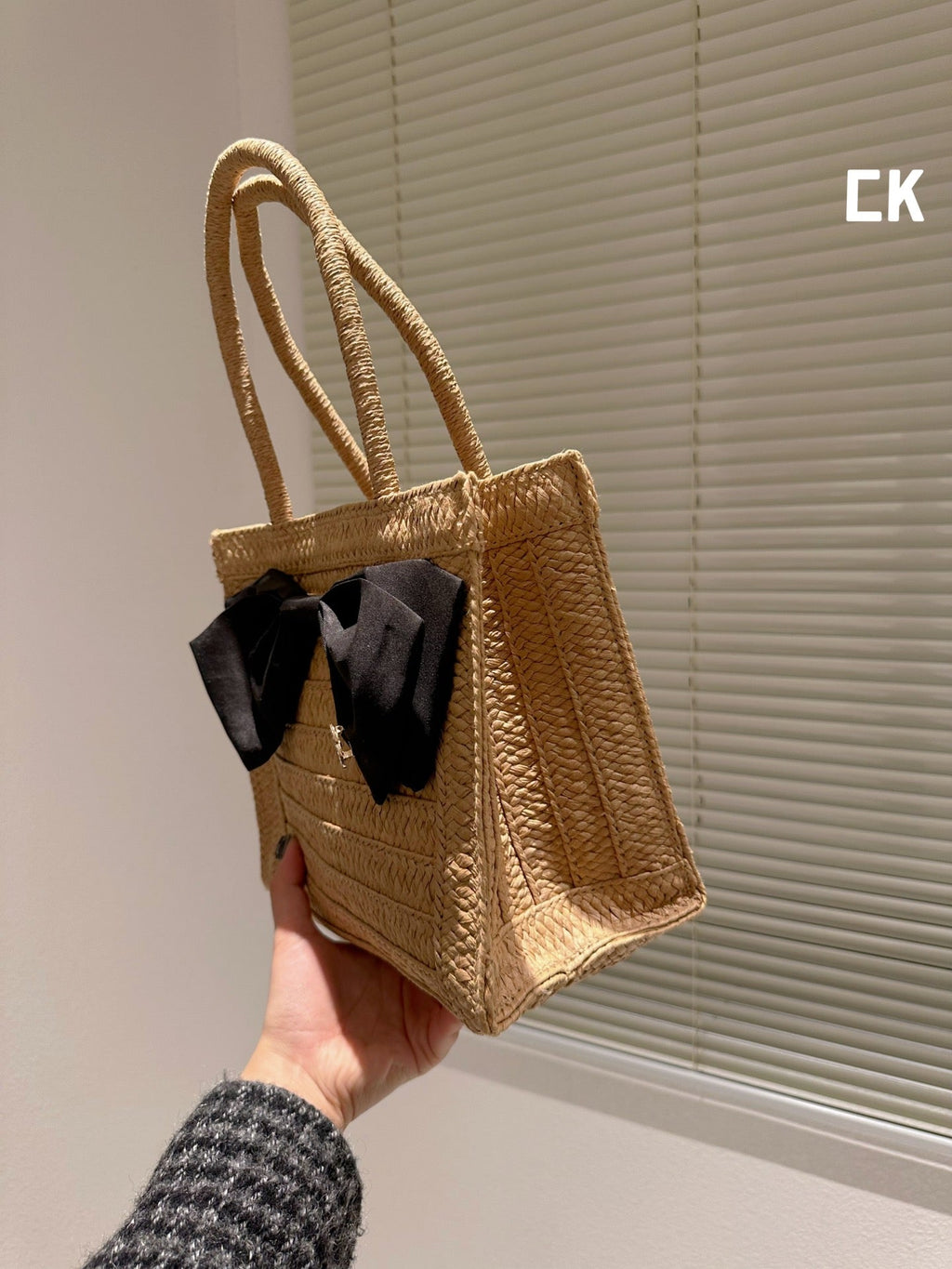 EN - Luxury Bags CHL 496