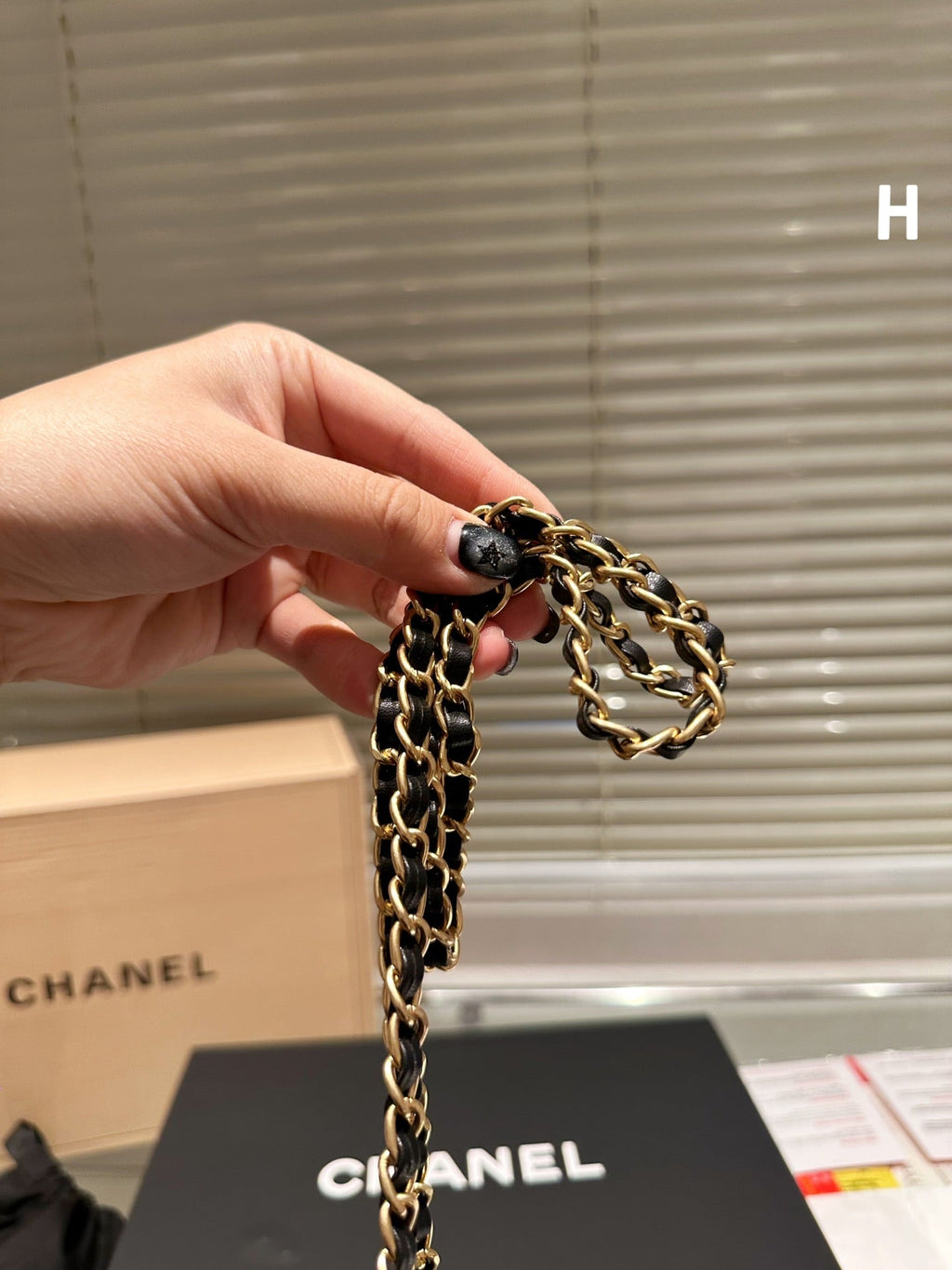 EN - Luxury Bags CHL 460
