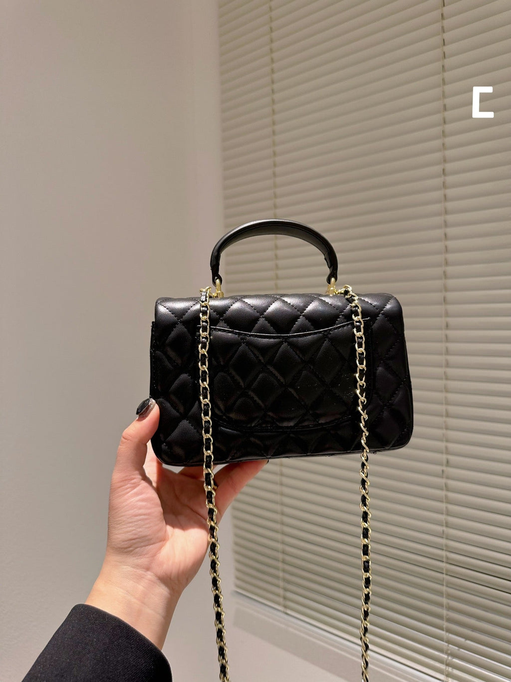 EN - Luxury Bags CHL 498