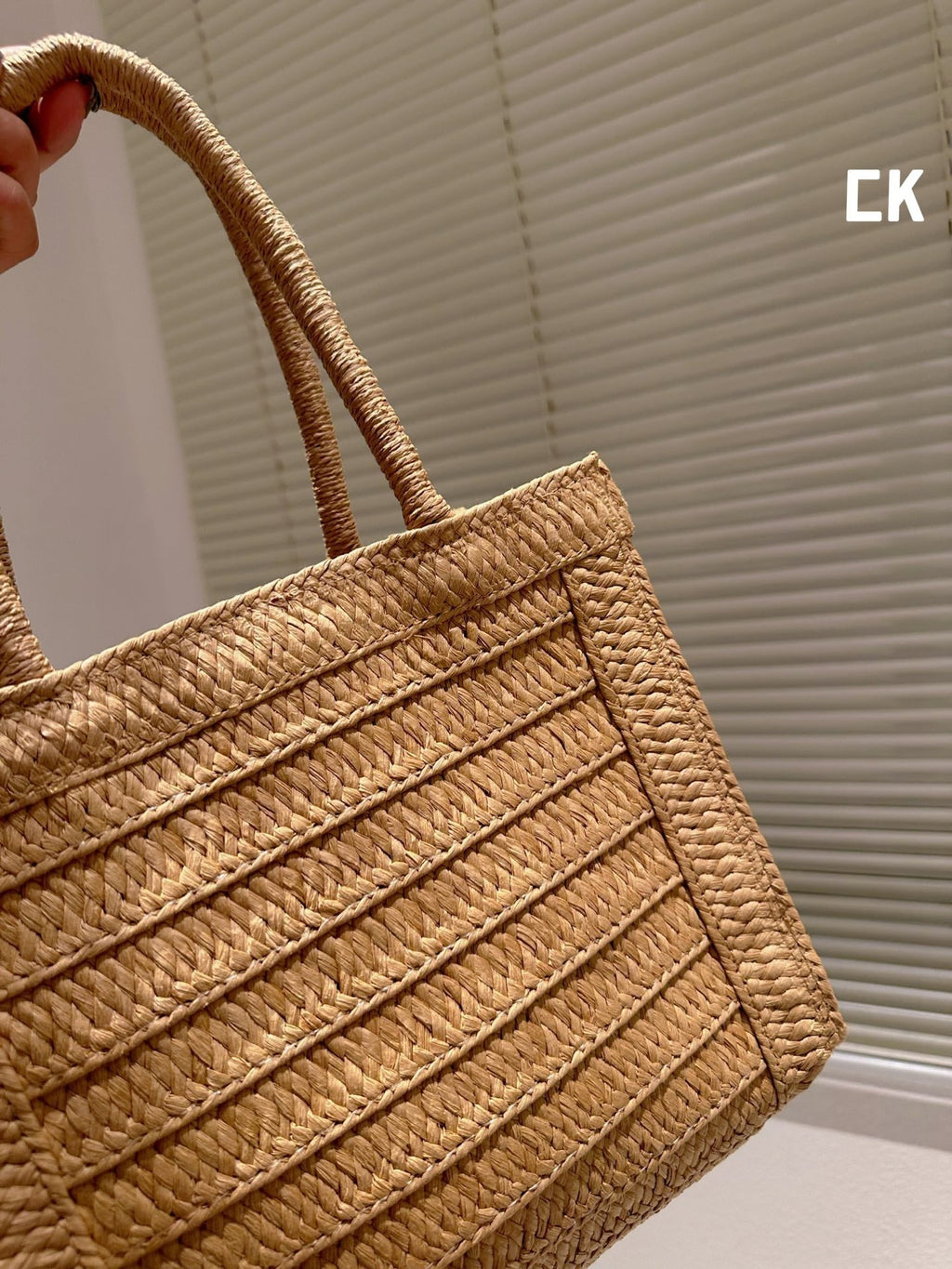 EN - Luxury Bags CHL 496