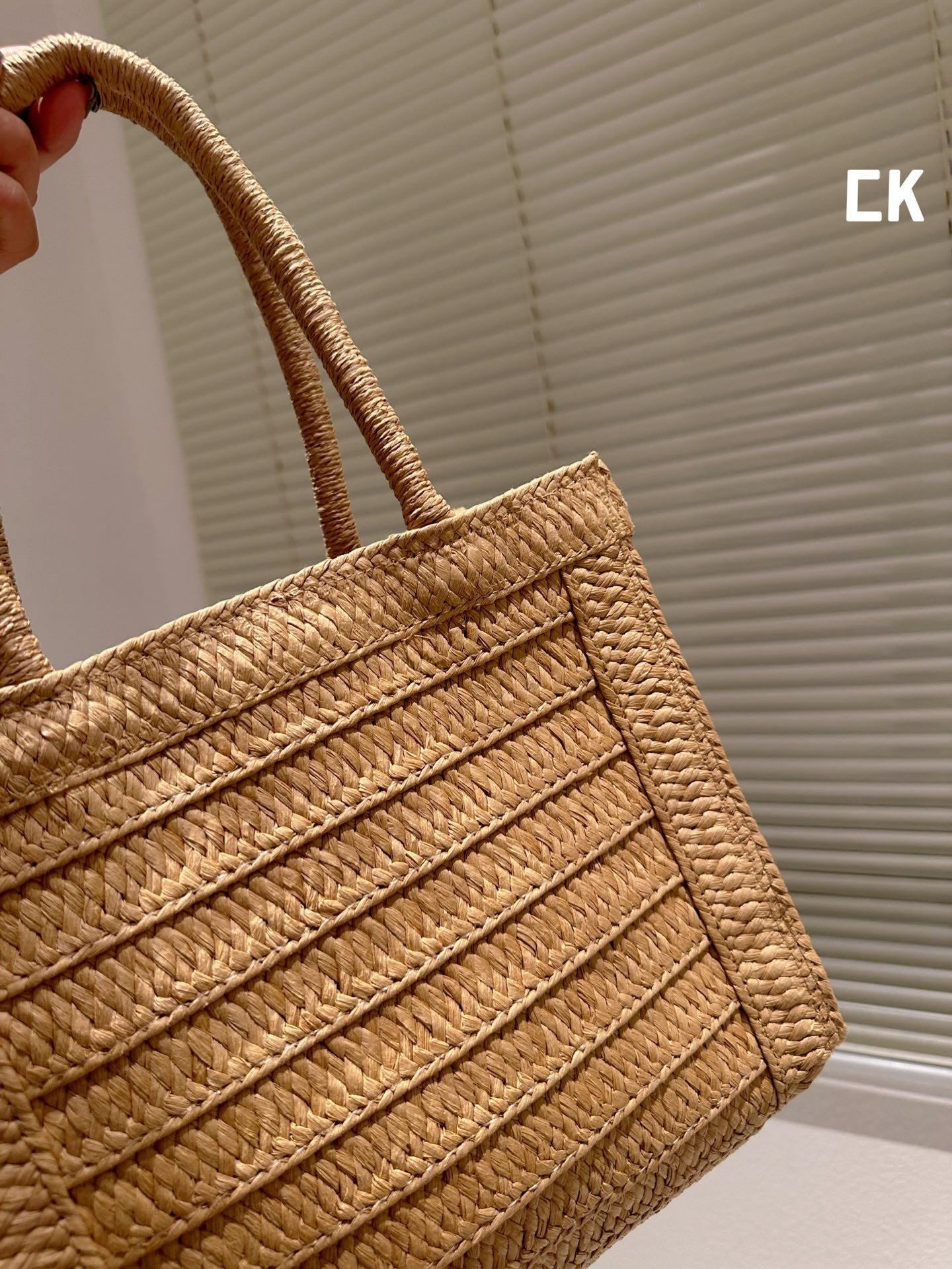 EN - Luxury Bags CHL 496