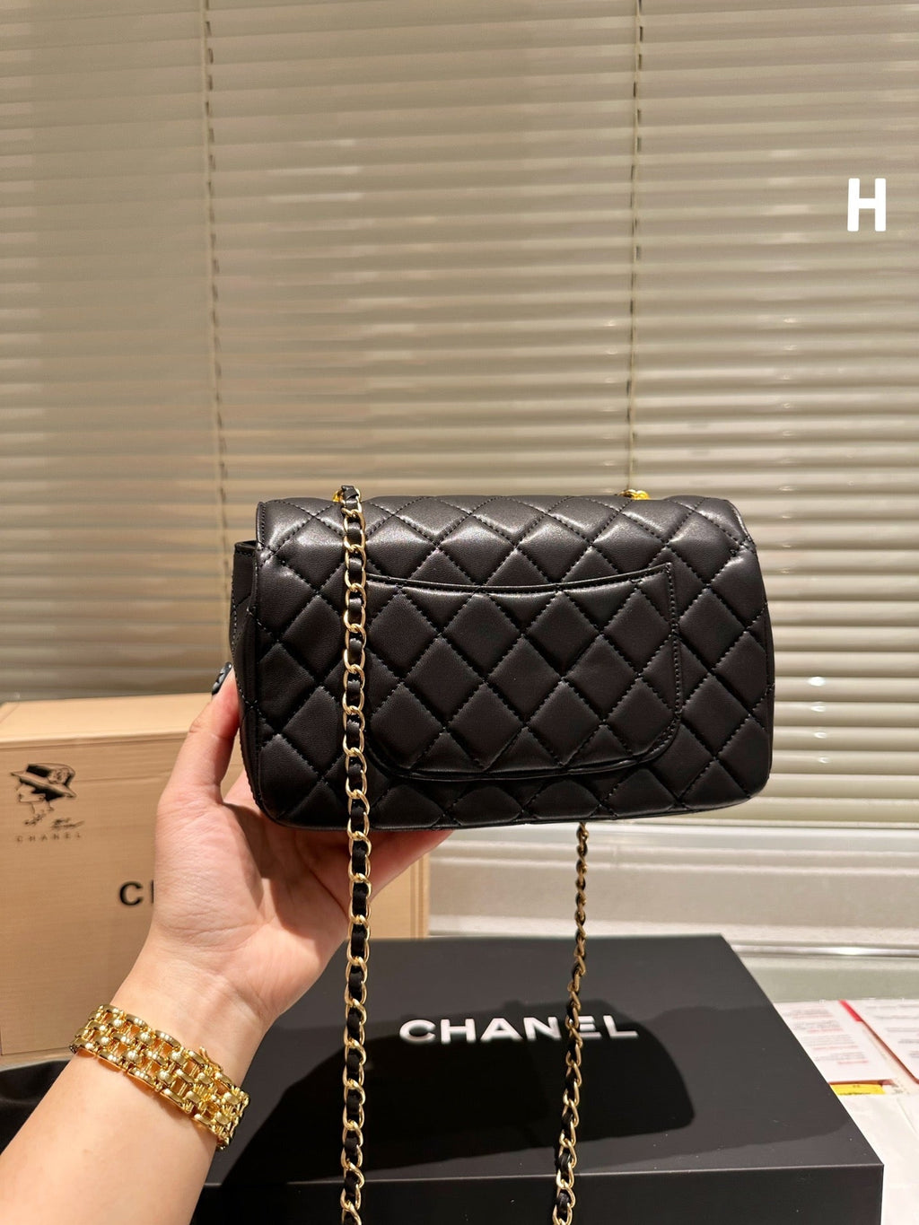 EN - Luxury Bags CHL 460