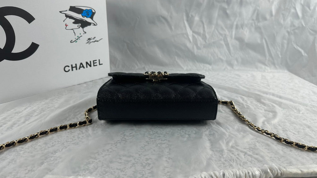 EN - Luxury Bags CHL 466