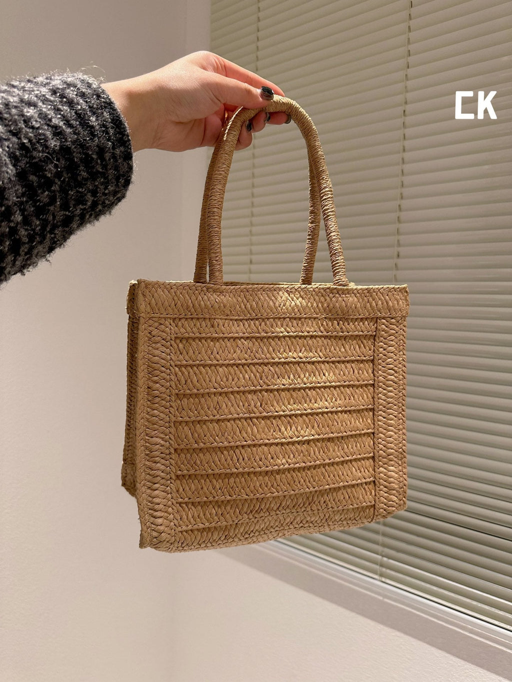EN - Luxury Bags CHL 496