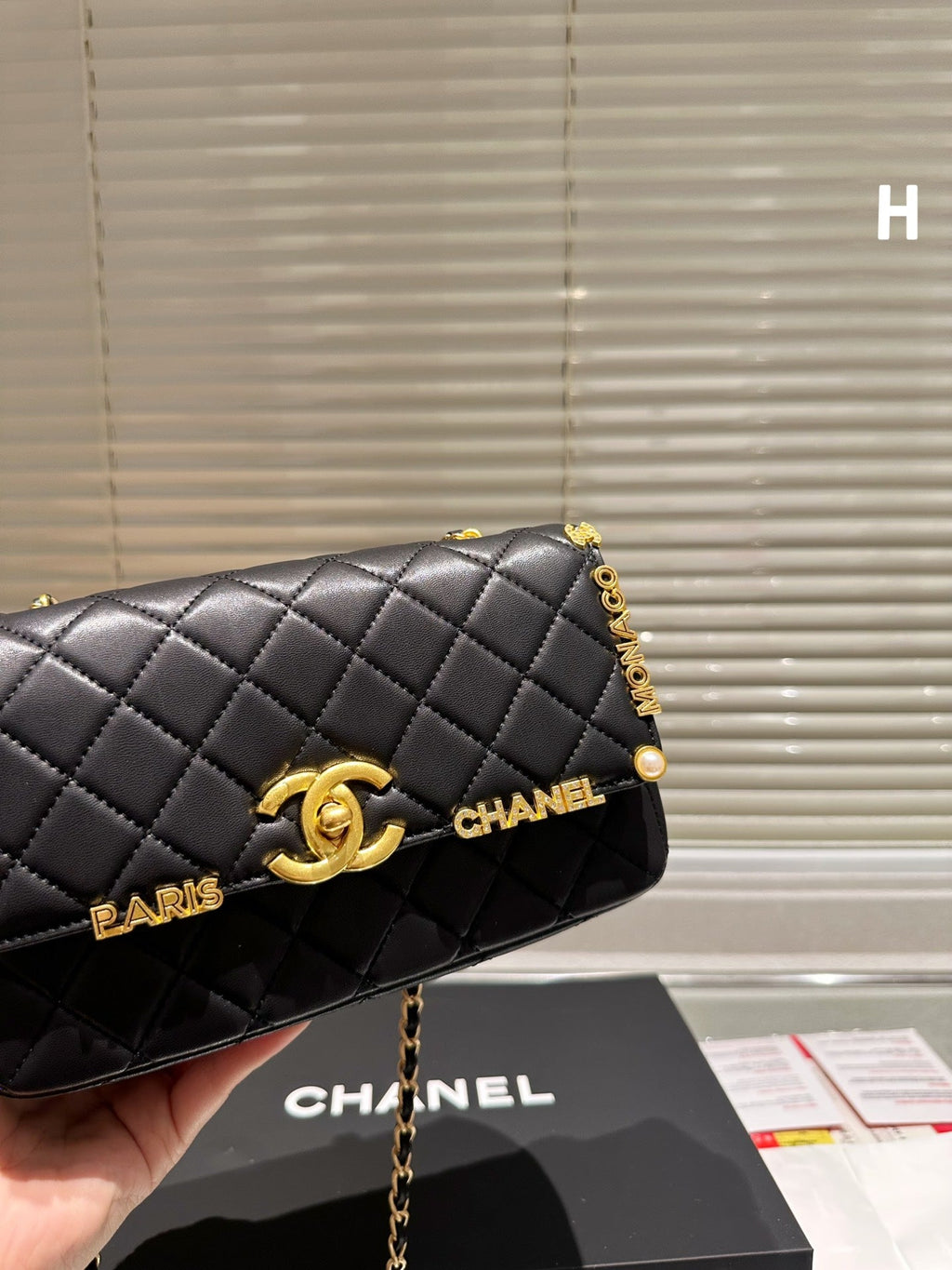 EN - Luxury Bags CHL 460