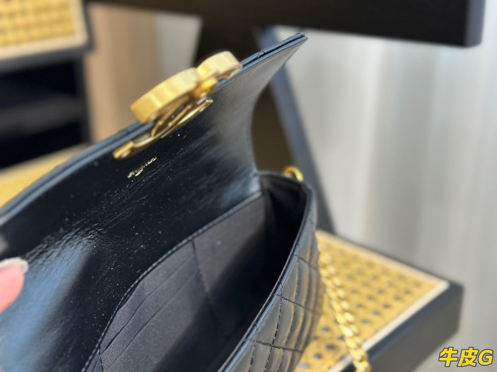 EN - Luxury Bags CHL 485