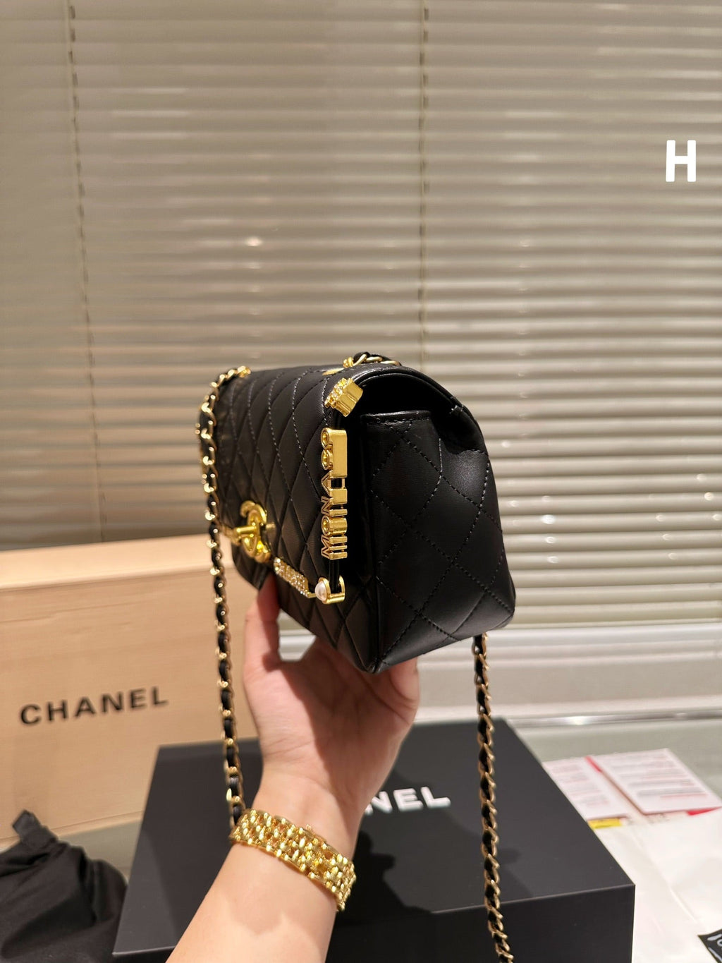 EN - Luxury Bags CHL 460