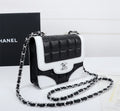 EN - Luxury Bags CHL 521