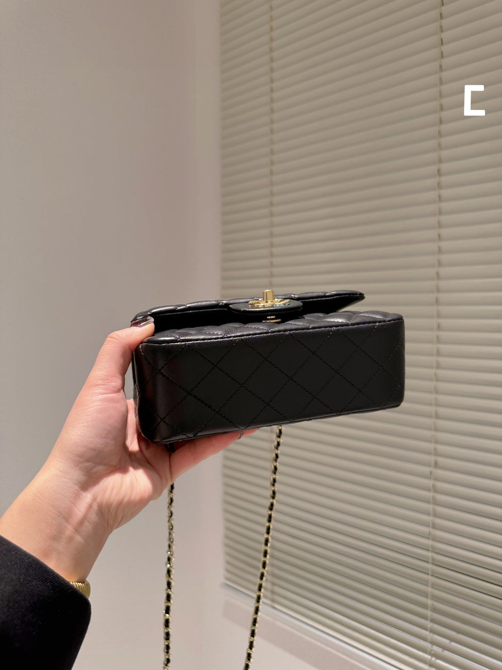 EN - Luxury Bags CHL 498