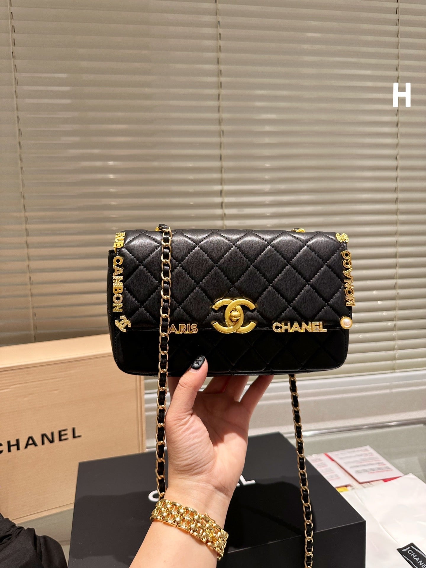EN - Luxury Bags CHL 460