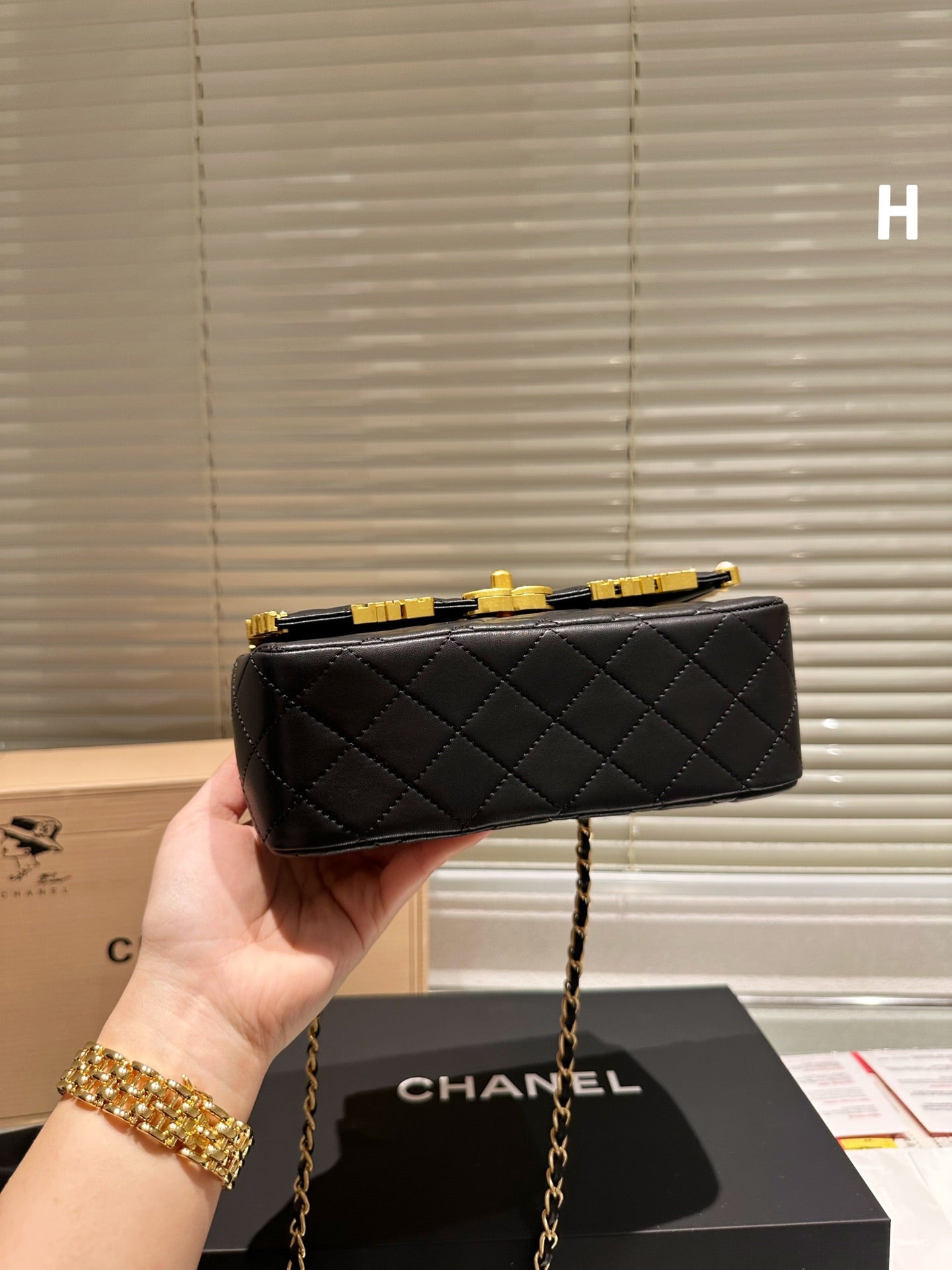 EN - Luxury Bags CHL 460