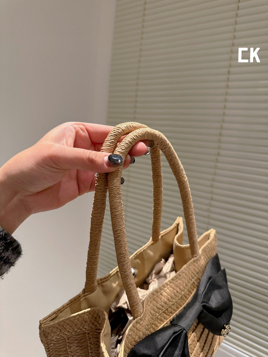 EN - Luxury Bags CHL 496