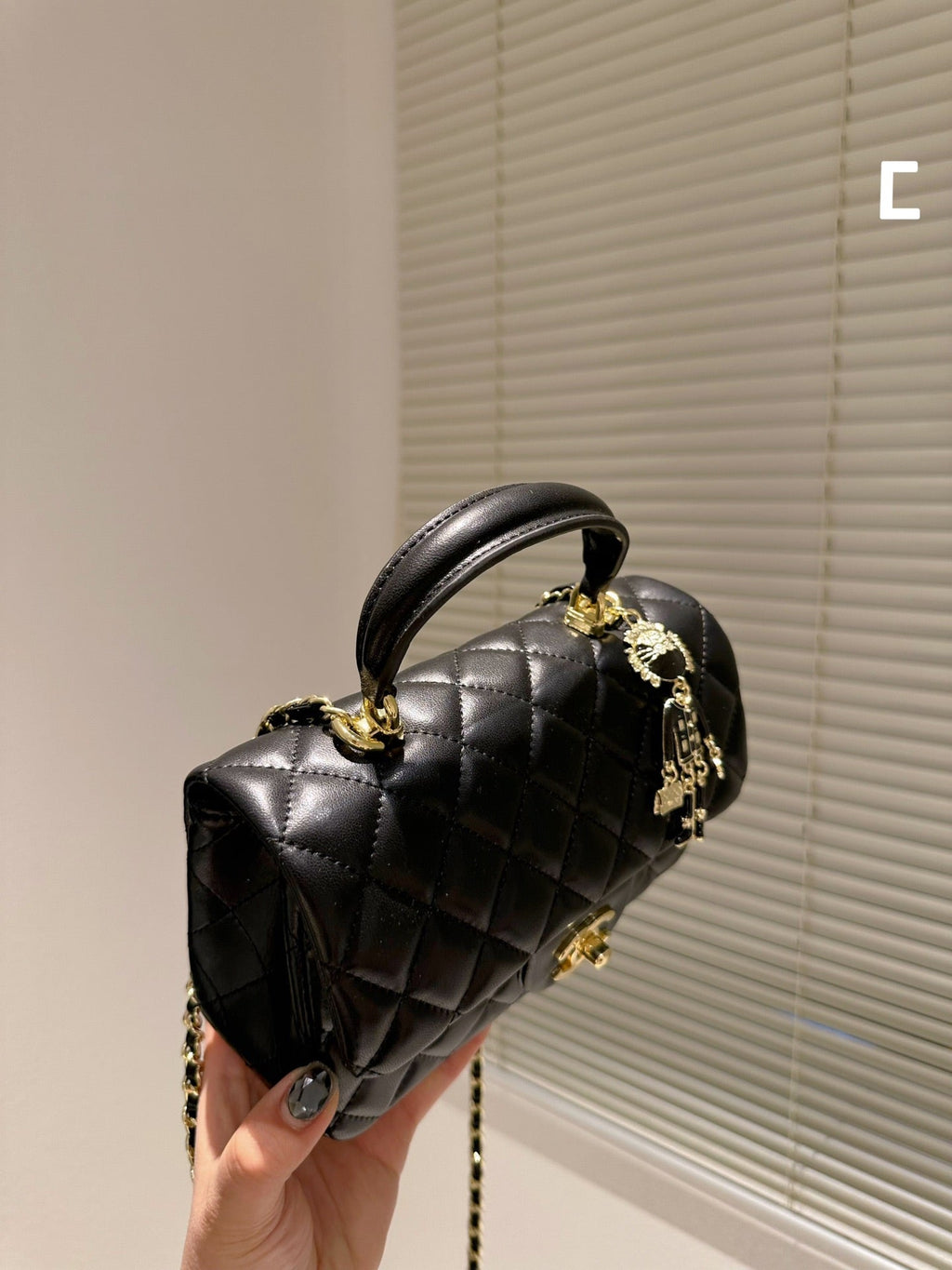 EN - Luxury Bags CHL 498