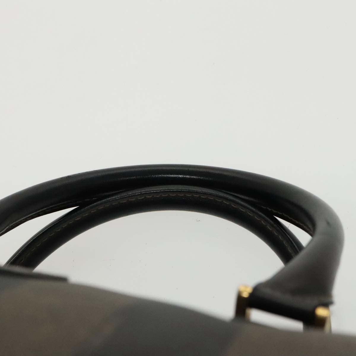 FENDI Pecan Canvas Hand Bag Brown Black gold 100100