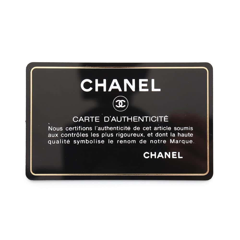 CHANEL Camera bag Red Lambskin