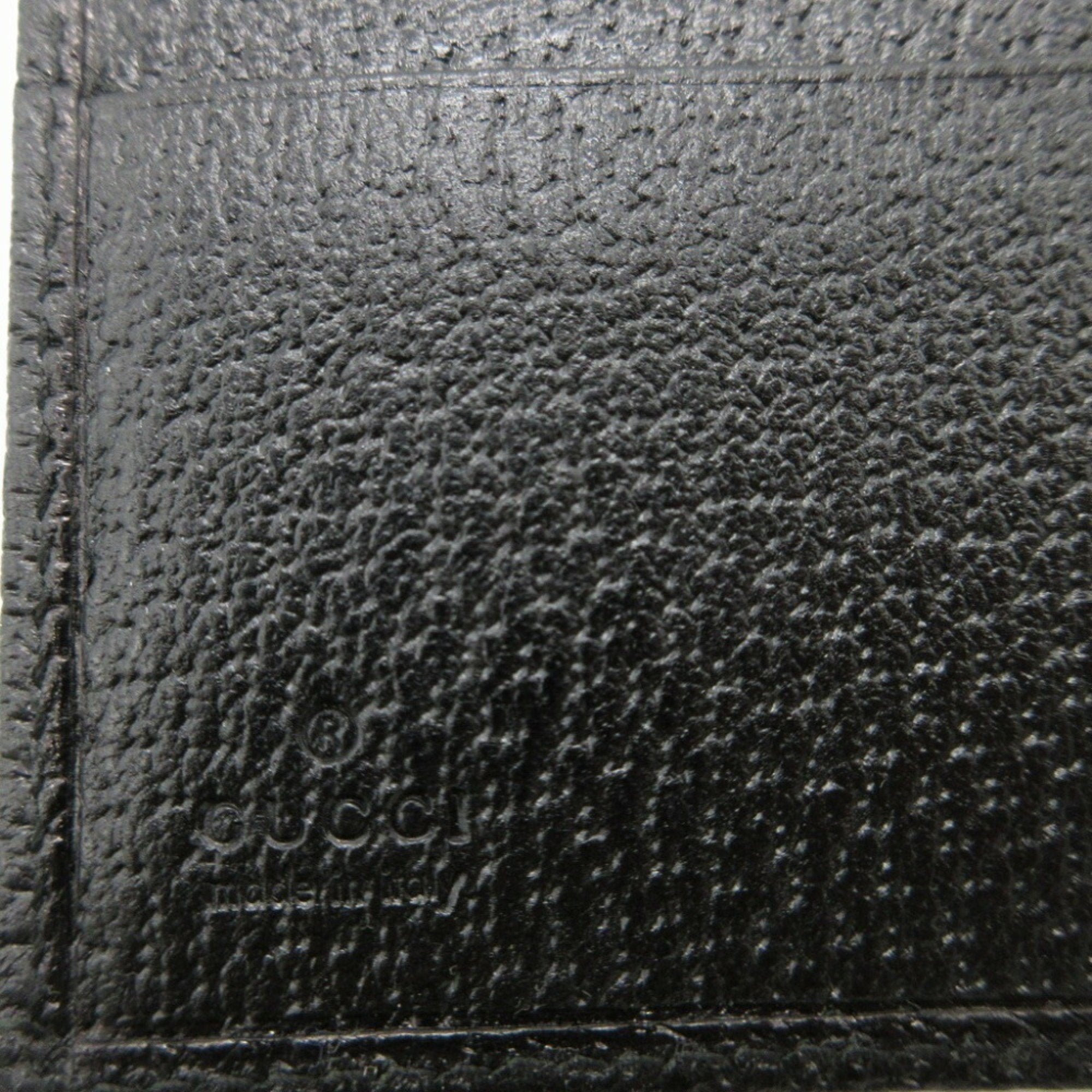 Gucci GG canvas