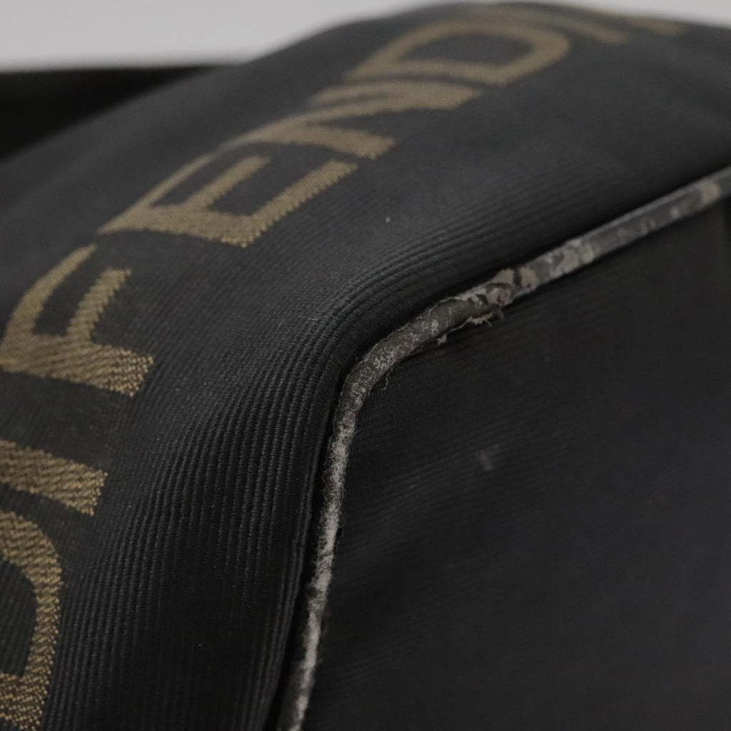 FENDI Hand Bag Canvas Black 106592