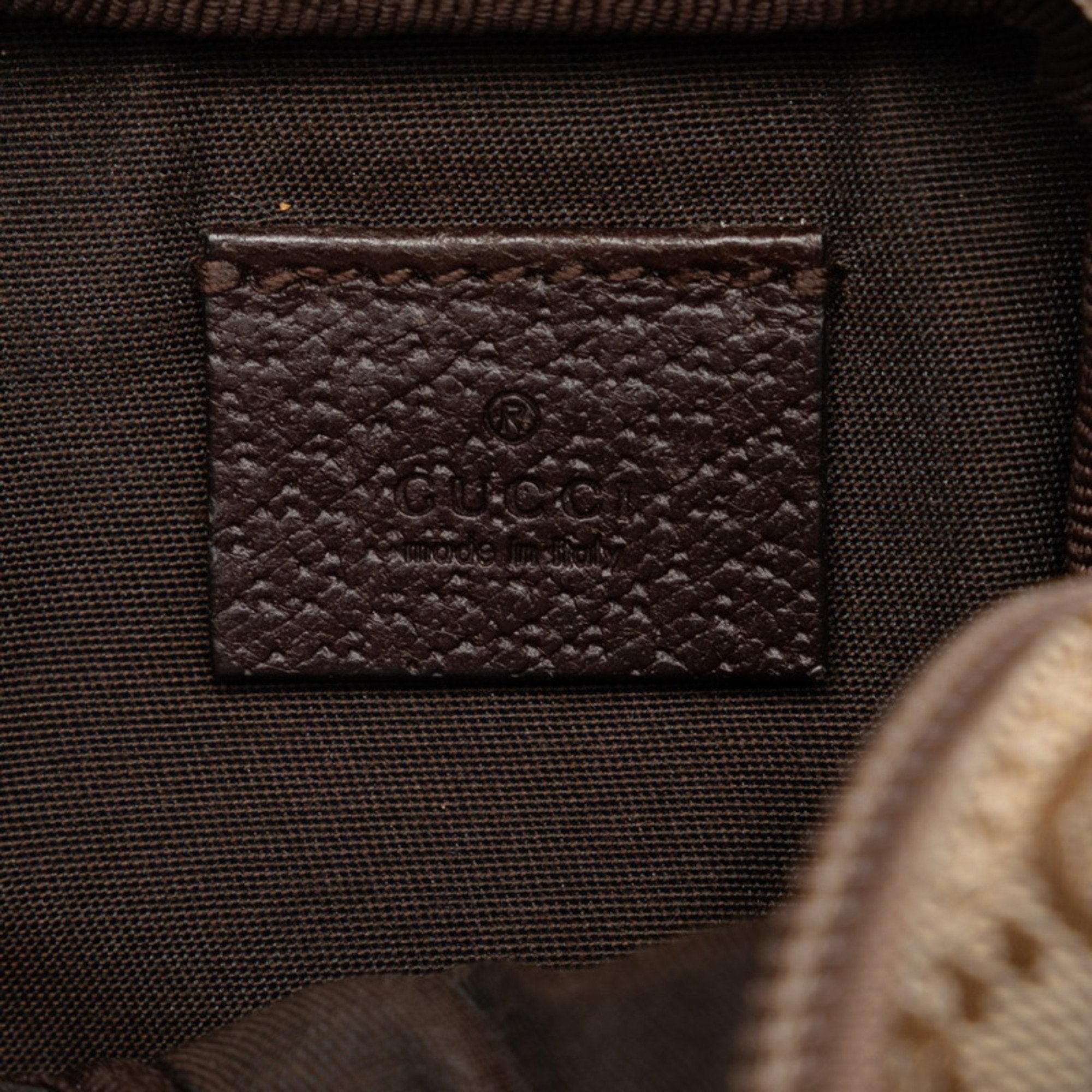 Gucci GG canvas
