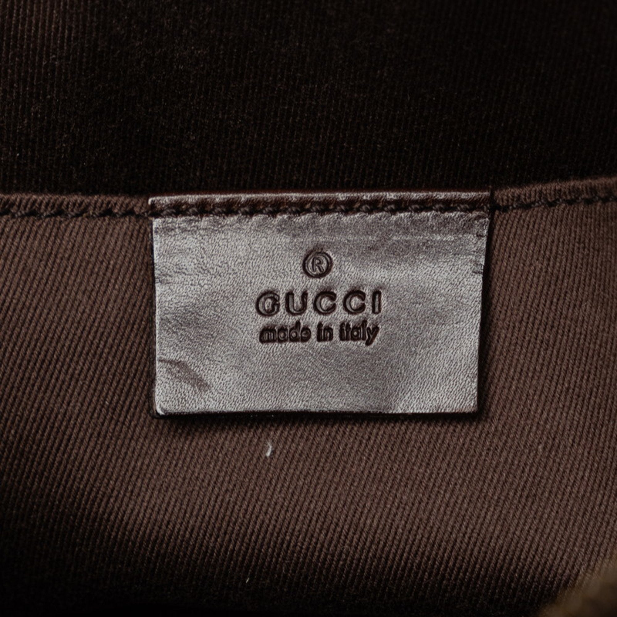 Gucci GG canvas