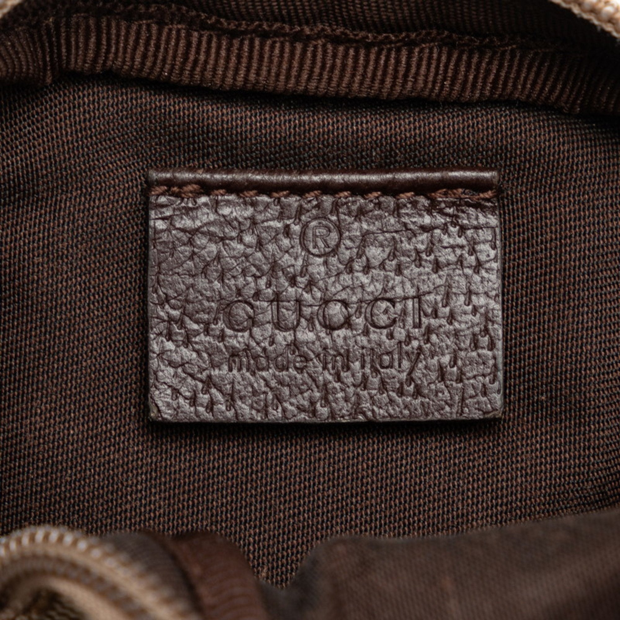 Gucci GG canvas