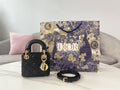 BLUSH BAGZ - Dior Bags - 1666