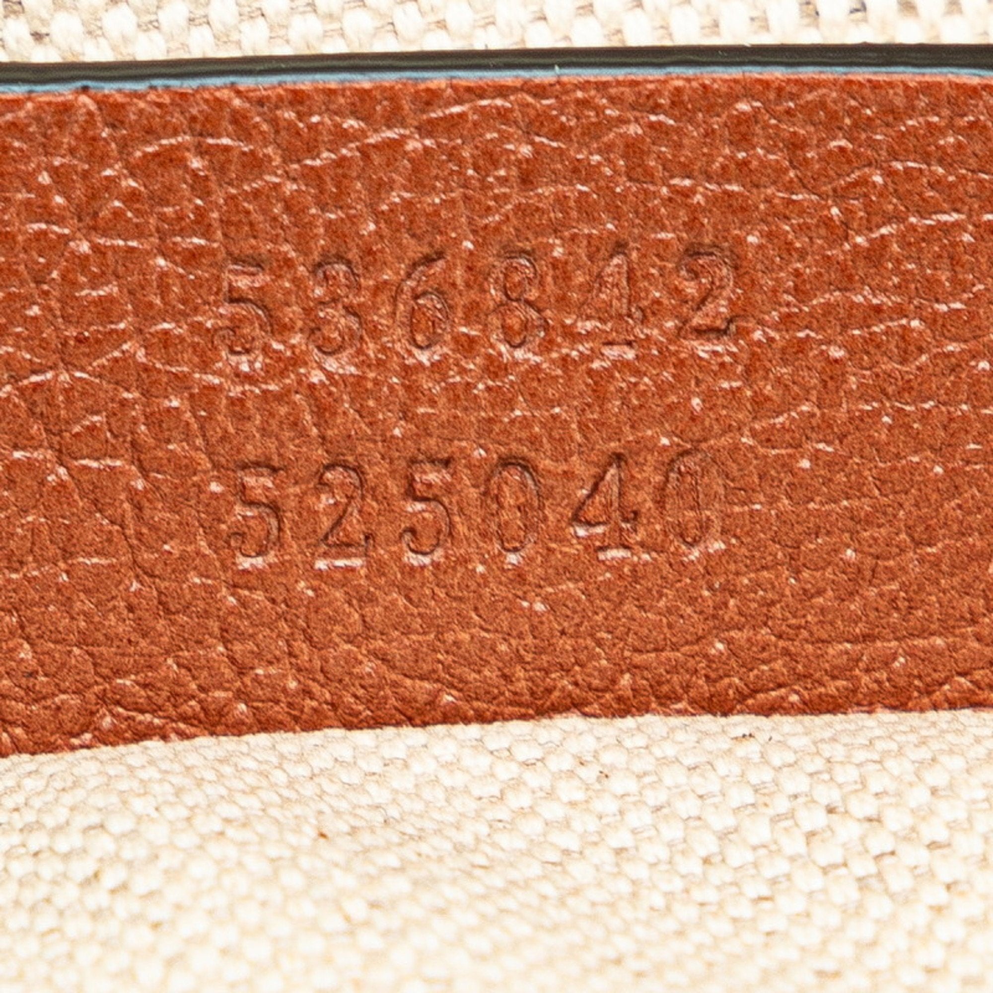 Gucci GG canvas