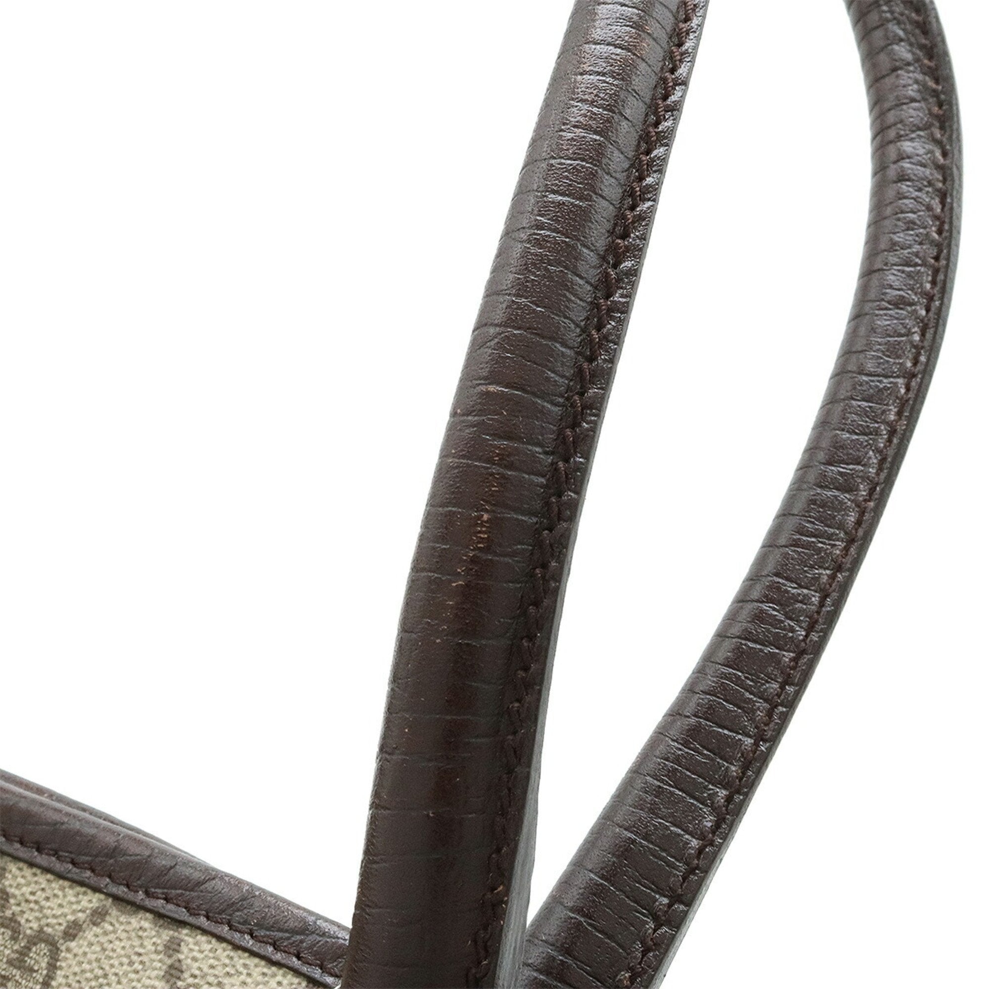 Gucci GG canvas